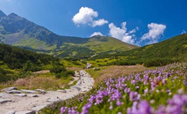 House Hanka, High Tatras Stará Lesná Exterior foto